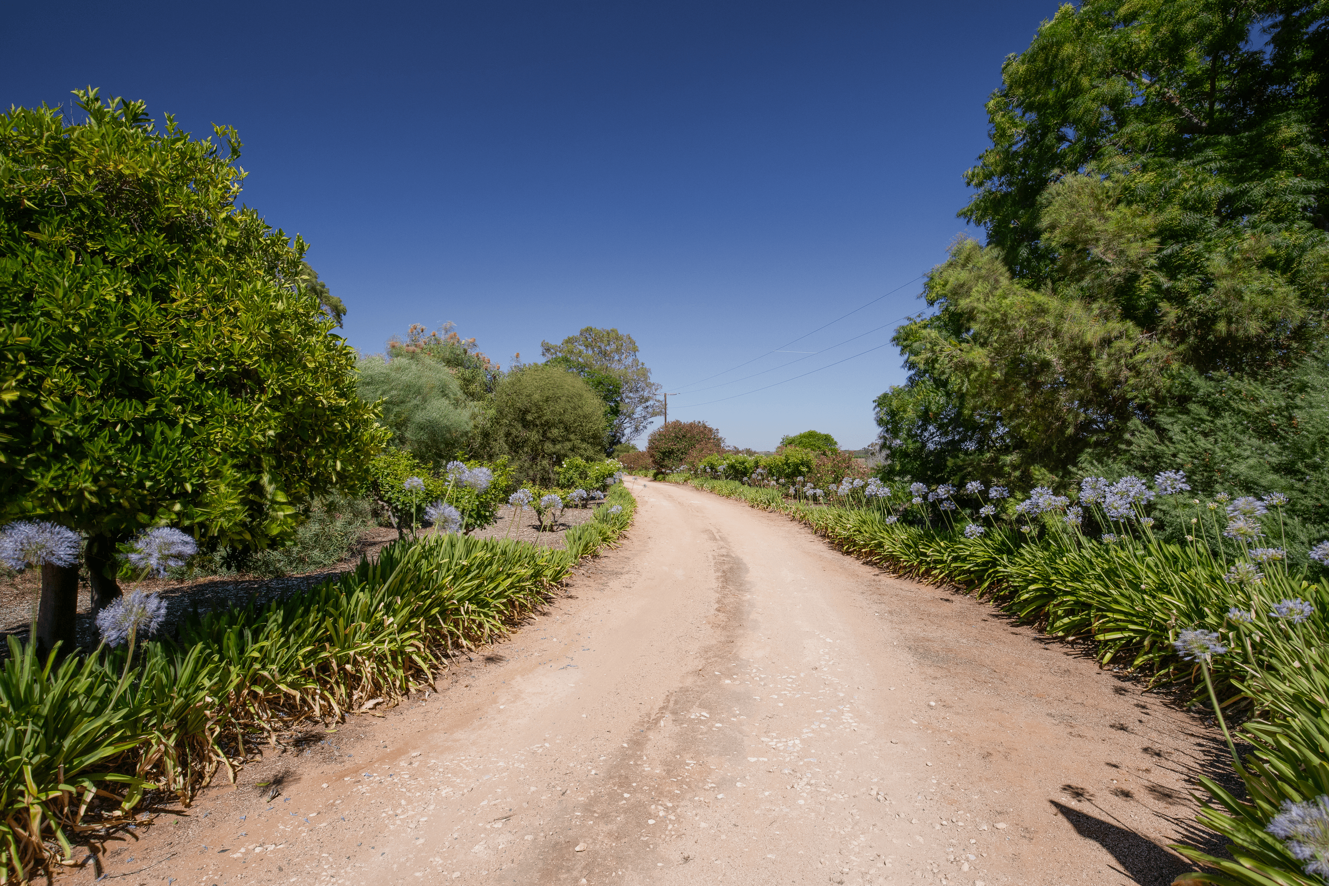 121 Mortimer Road, BERRI, SA 5343