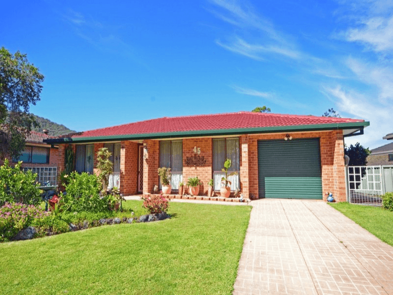 45 Sirius Drive, LAKEWOOD, NSW 2443