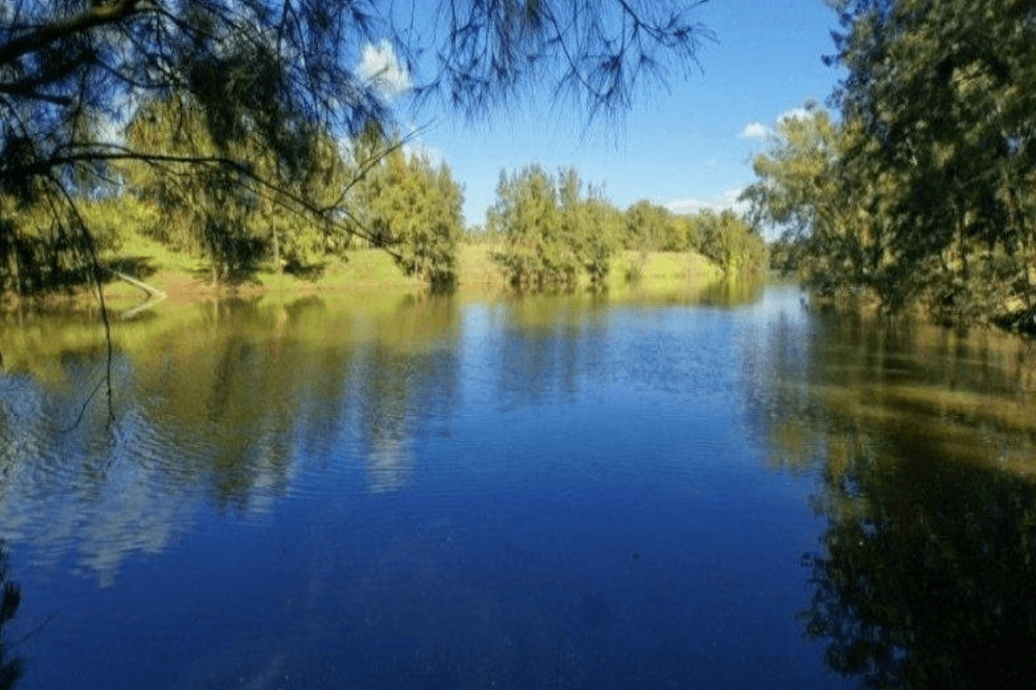 220 Ellis Lane Lane, Ellis Lane, NSW 2570