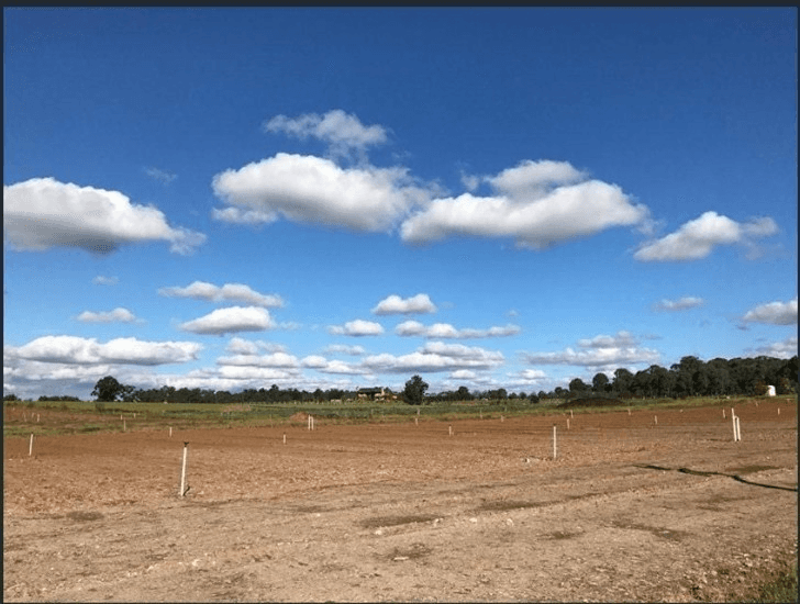 220 Ellis Lane Lane, Ellis Lane, NSW 2570