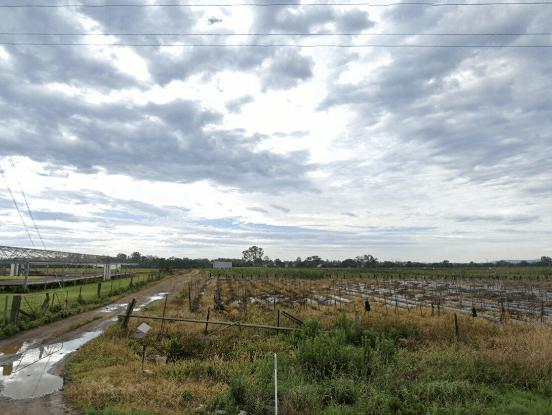 220 Ellis Lane Lane, Ellis Lane, NSW 2570