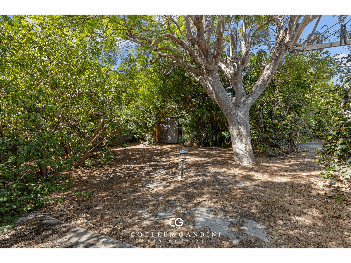 14 Coomoora Road, Mount Pleasant, WA 6153