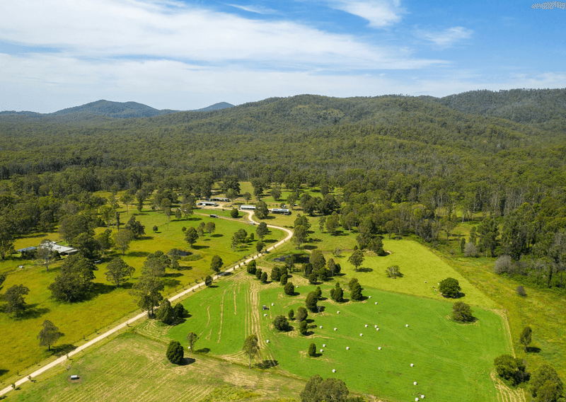 215 Careys Road, HILLVILLE, NSW 2430