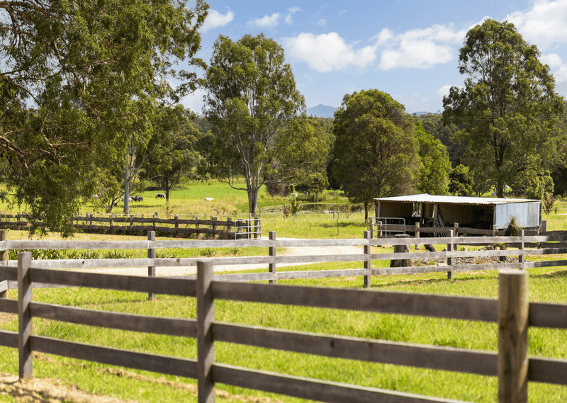 215 Careys Road, HILLVILLE, NSW 2430