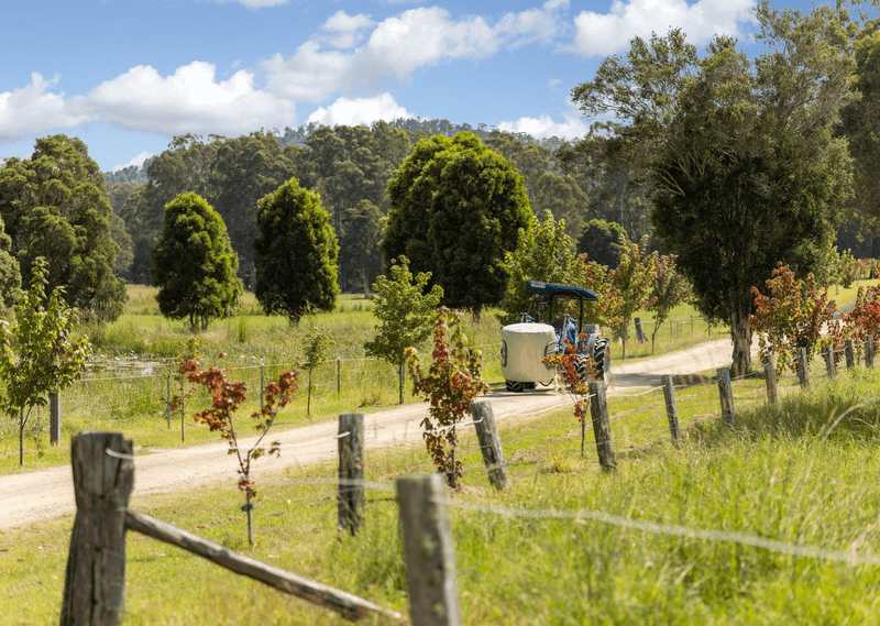 215 Careys Road, HILLVILLE, NSW 2430