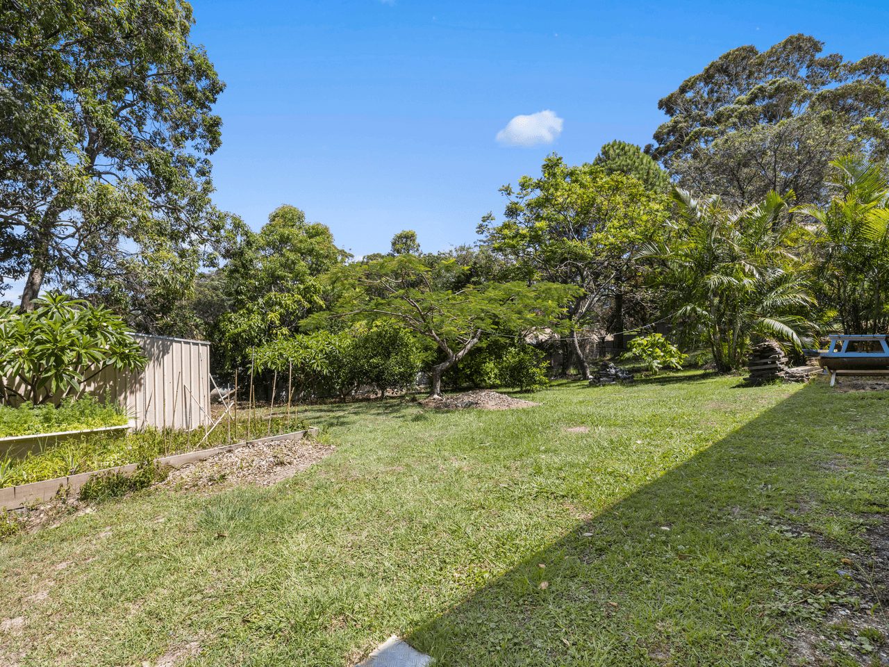62 Scarborough Street, WOOLGOOLGA, NSW 2456