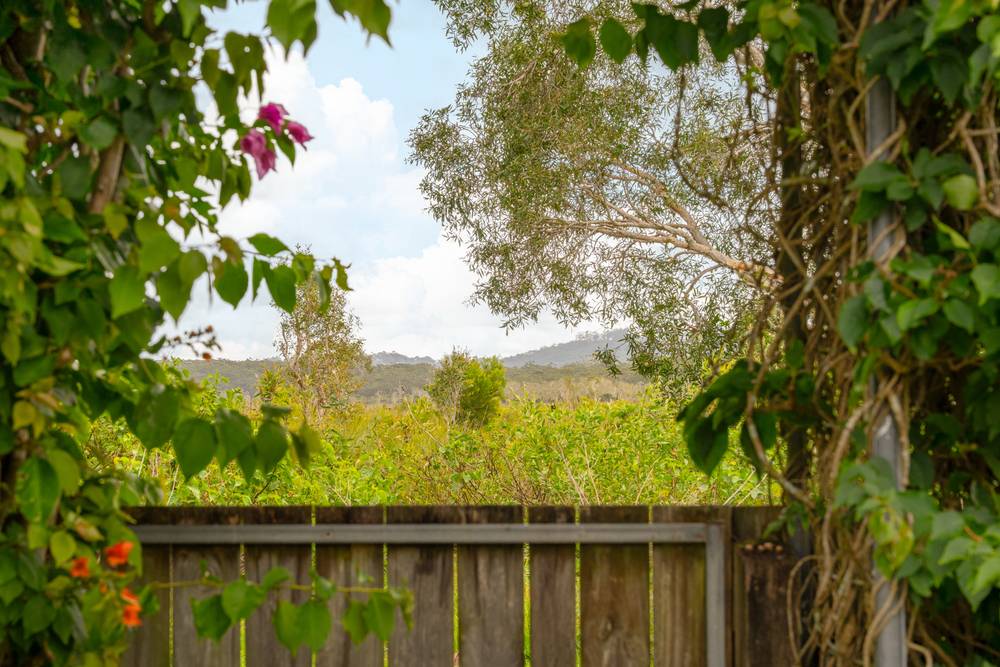 72 Mountain Ash Drive, Mountain Creek, QLD 4557