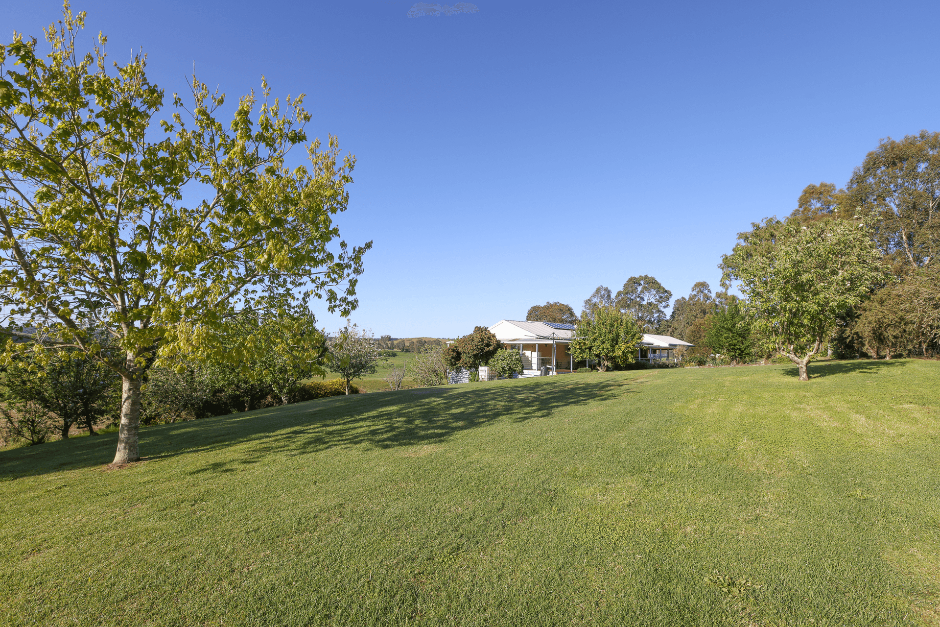 57 Giles Street, Wiseleigh, VIC 3885