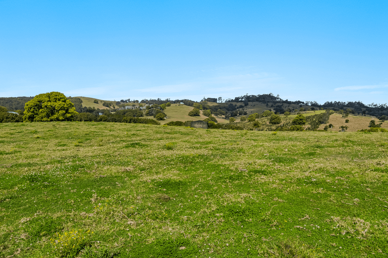 474 Lismore Road, BINNA BURRA, NSW 2479