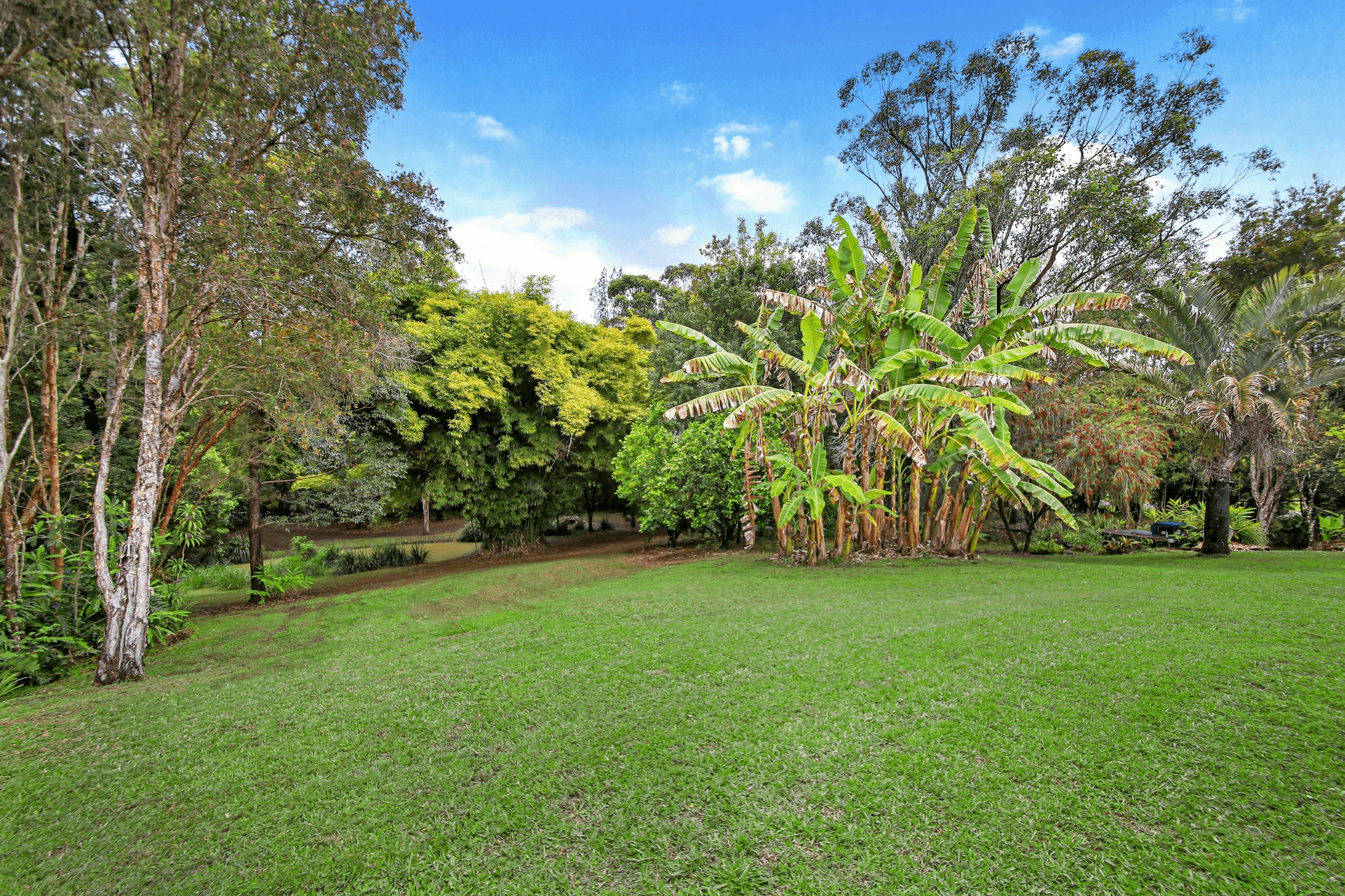 28 Sugar Gum Drive, Mooloolah Valley, QLD 4553