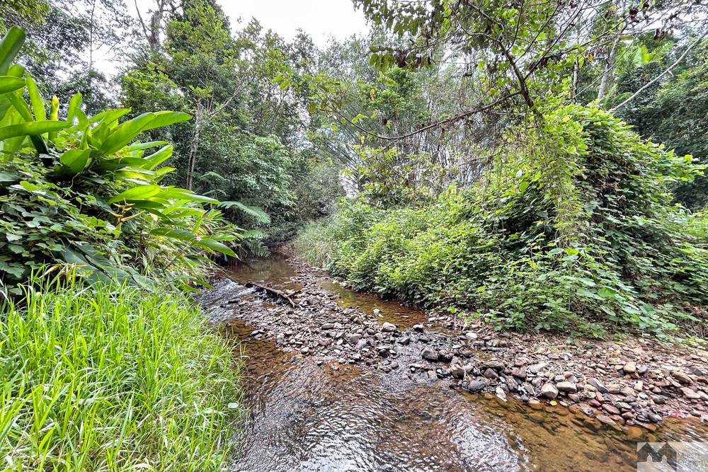 Lot 2 Seres Road, Mena Creek, QLD 4871