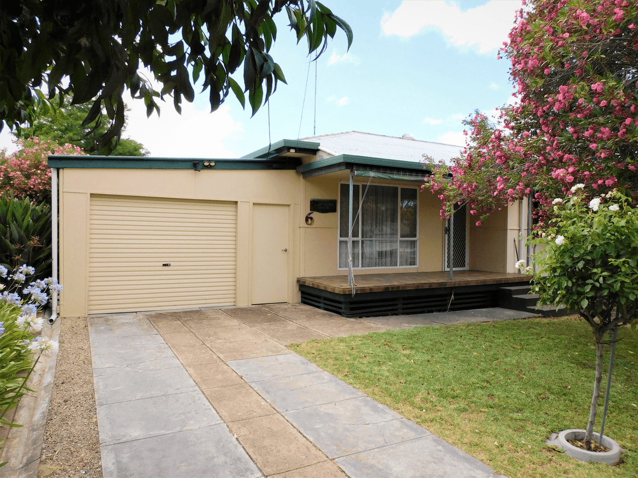 6 Baker Street, BORDERTOWN, SA 5268