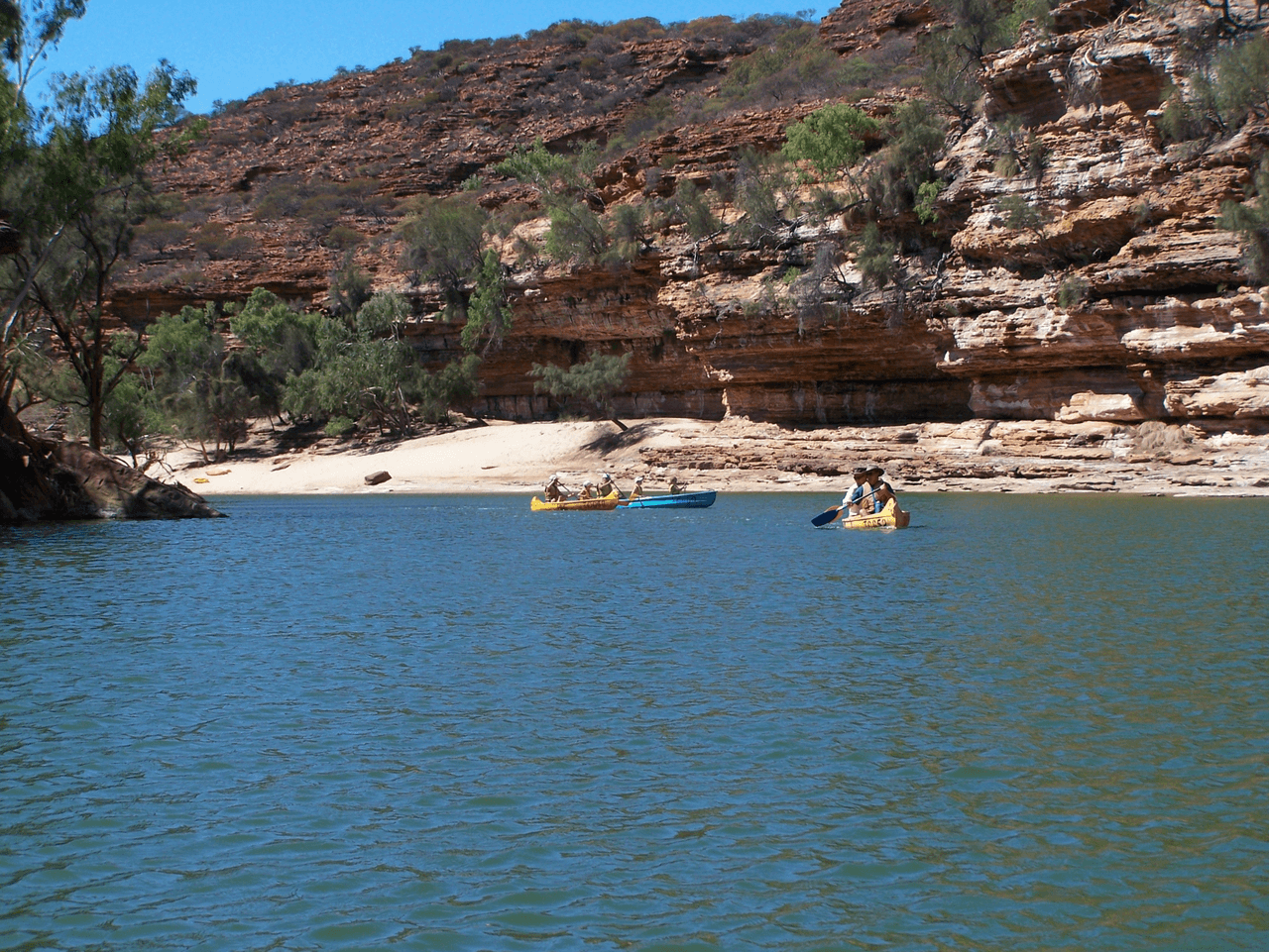 22 Clematis Crescent, KALBARRI, WA 6536