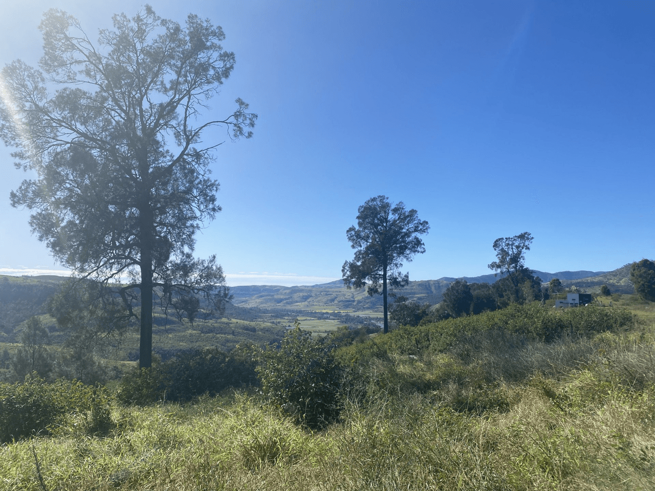 240 West Haldon Road, WEST HALDON, QLD 4359