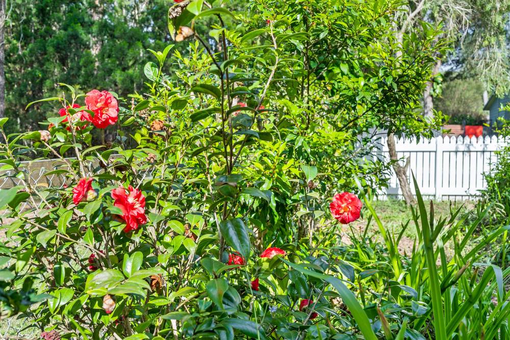 13 Eumina Street, Macleay Island, QLD 4184