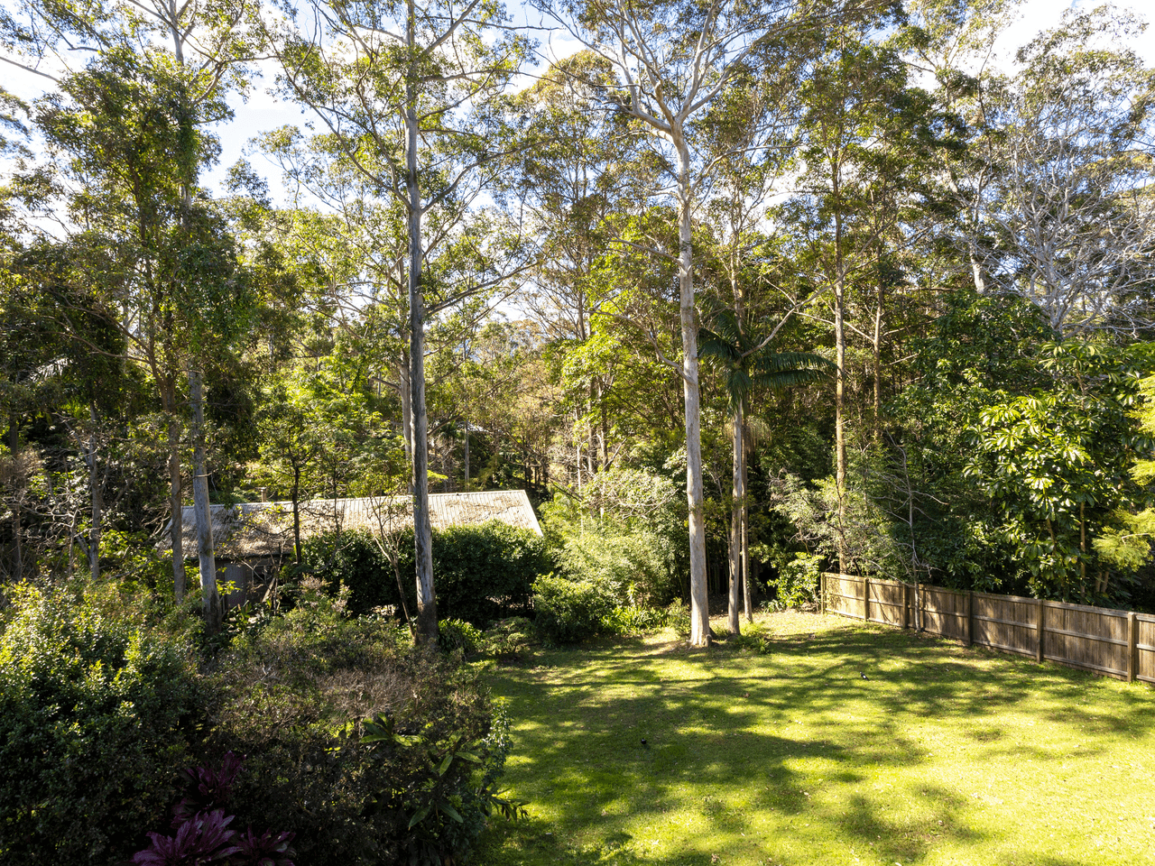 55 Kinabalu Drive, TAMBORINE MOUNTAIN, QLD 4272