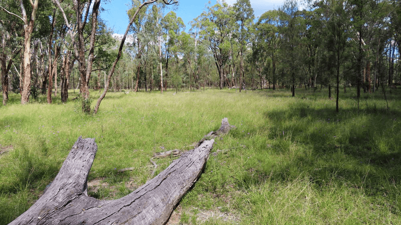 Lot 4 Nyora Road, LEYBURN, QLD 4365