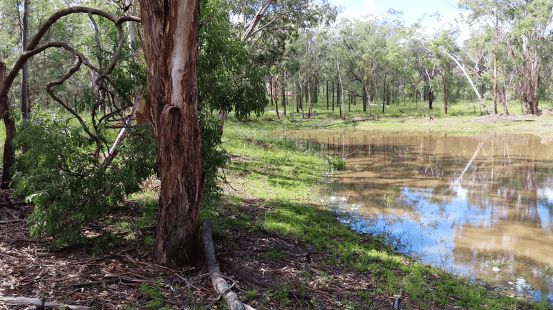 Lot 4 Nyora Road, LEYBURN, QLD 4365