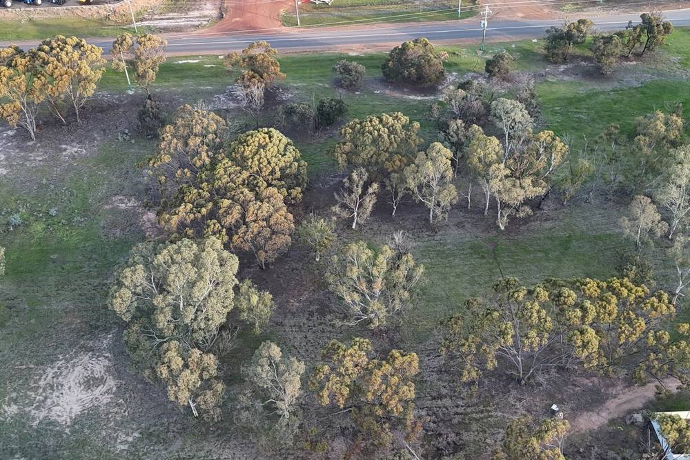Katanning-Nyabing Road, Katanning, WA 6317
