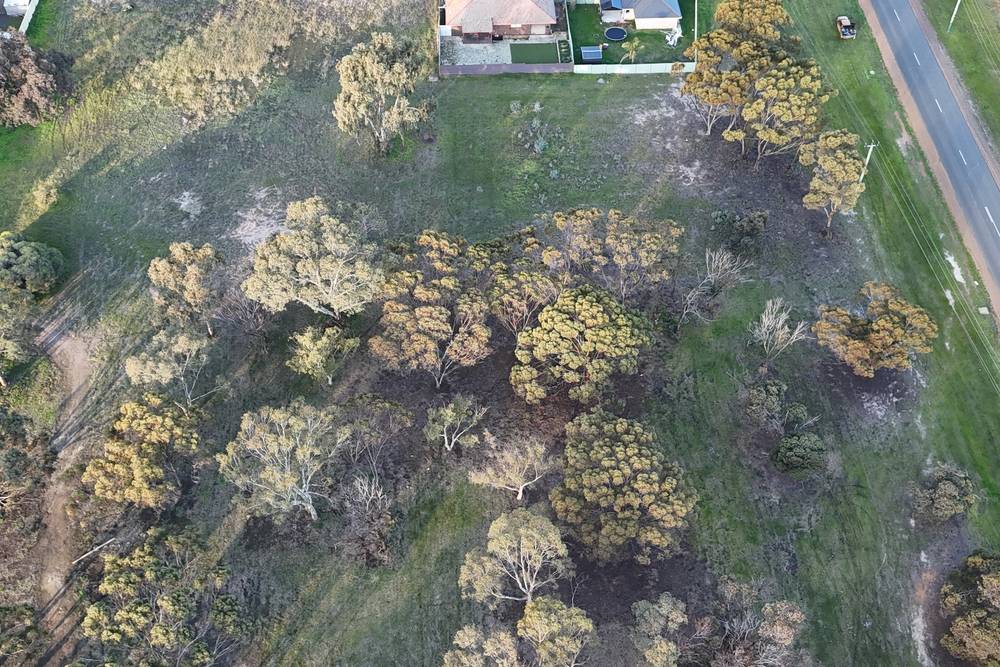 Katanning-Nyabing Road, Katanning, WA 6317