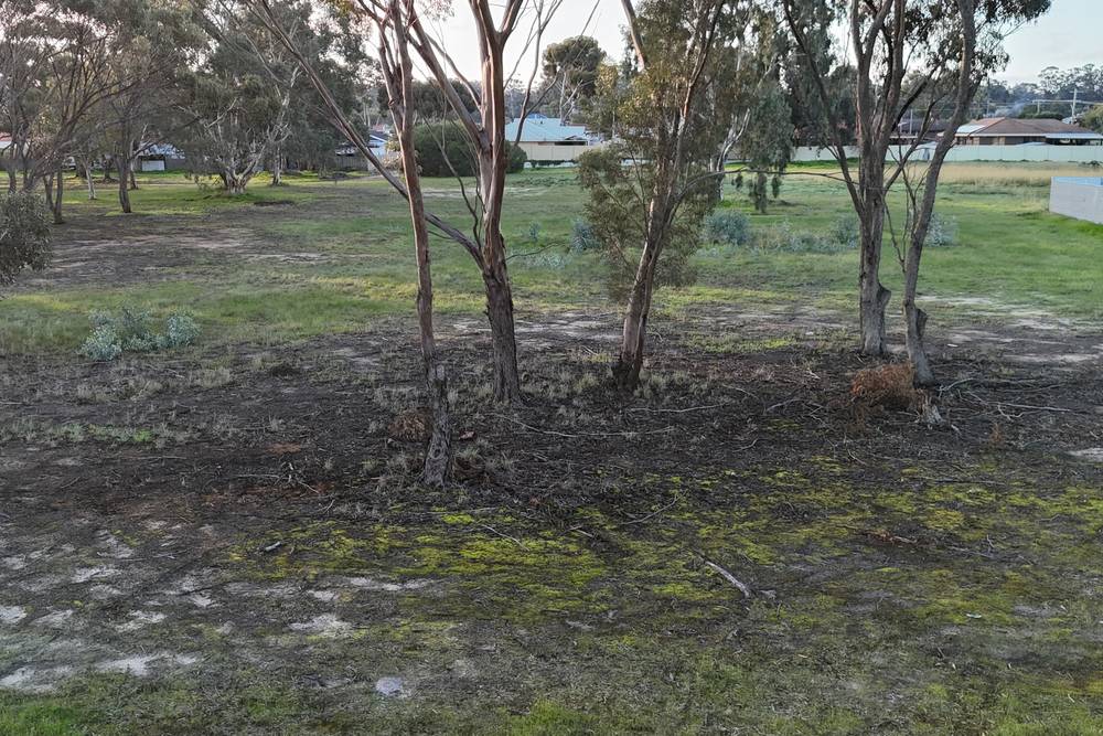 Katanning-Nyabing Road, Katanning, WA 6317