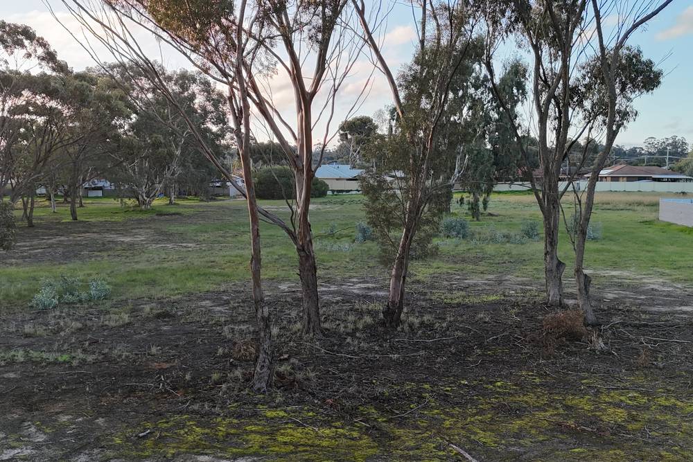 Katanning-Nyabing Road, Katanning, WA 6317