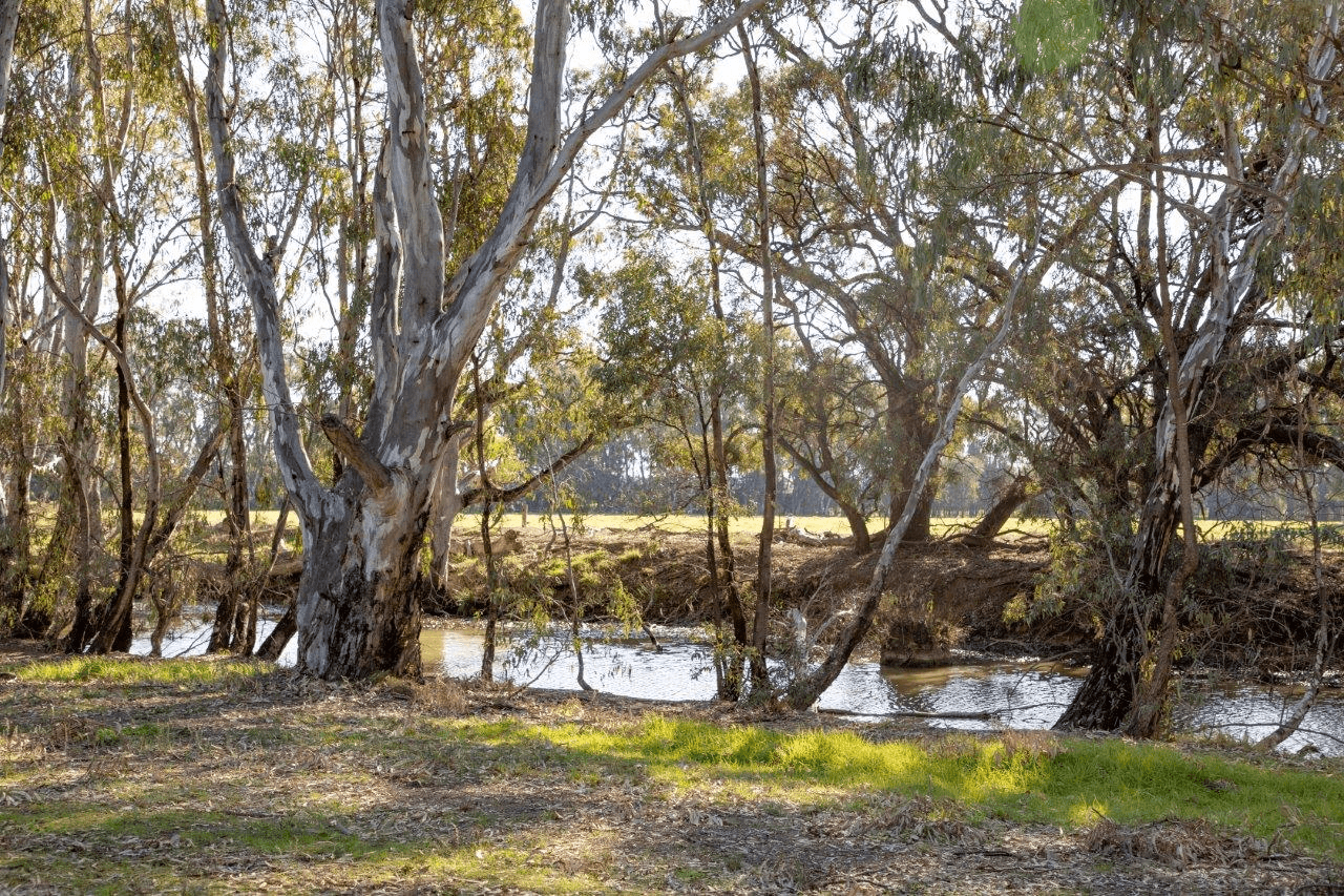 136 GLENVIEW ROAD, BARHAM, NSW 2732