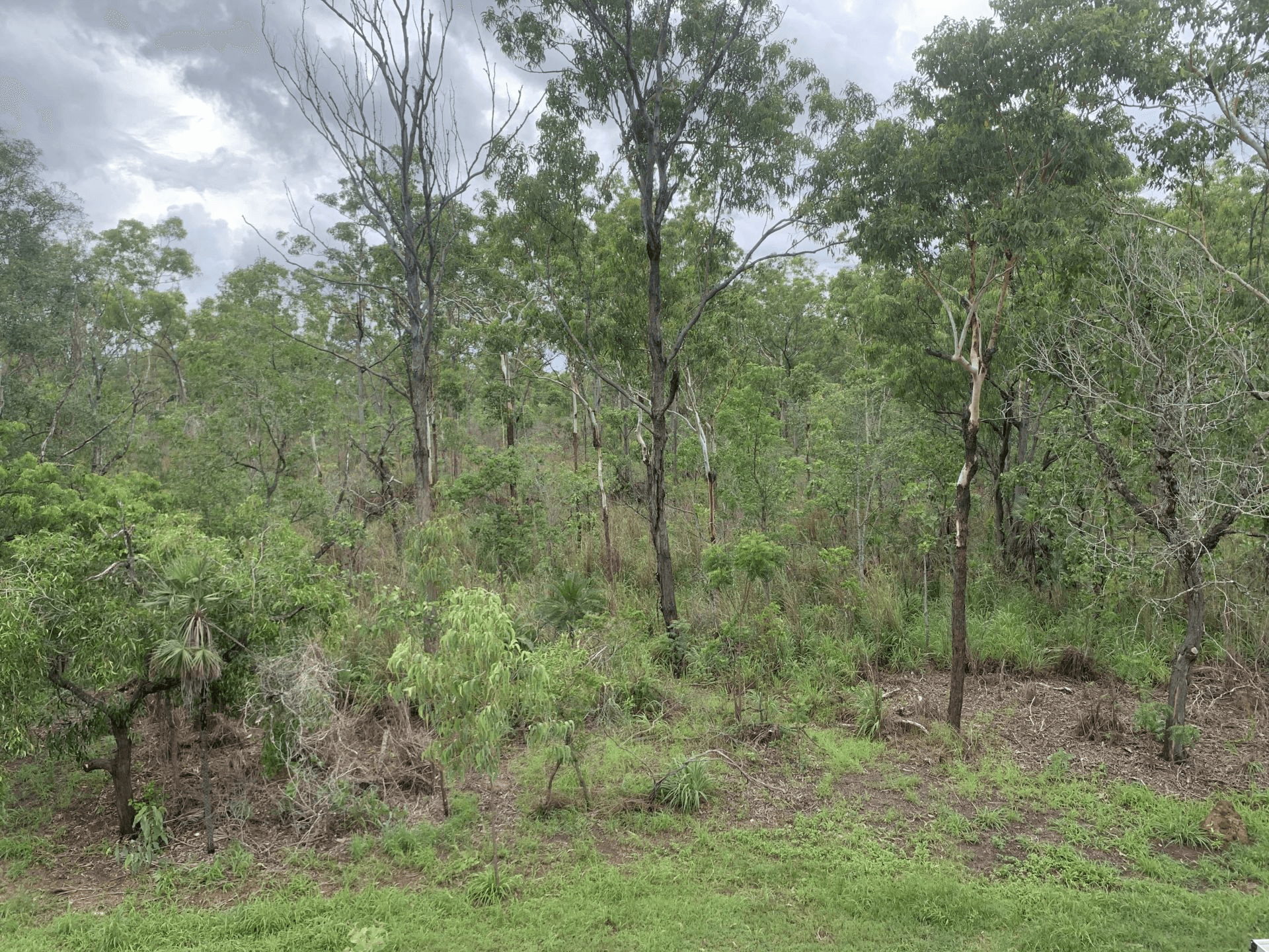 176A Bees Creek Road, Bees Creek, NT 0822