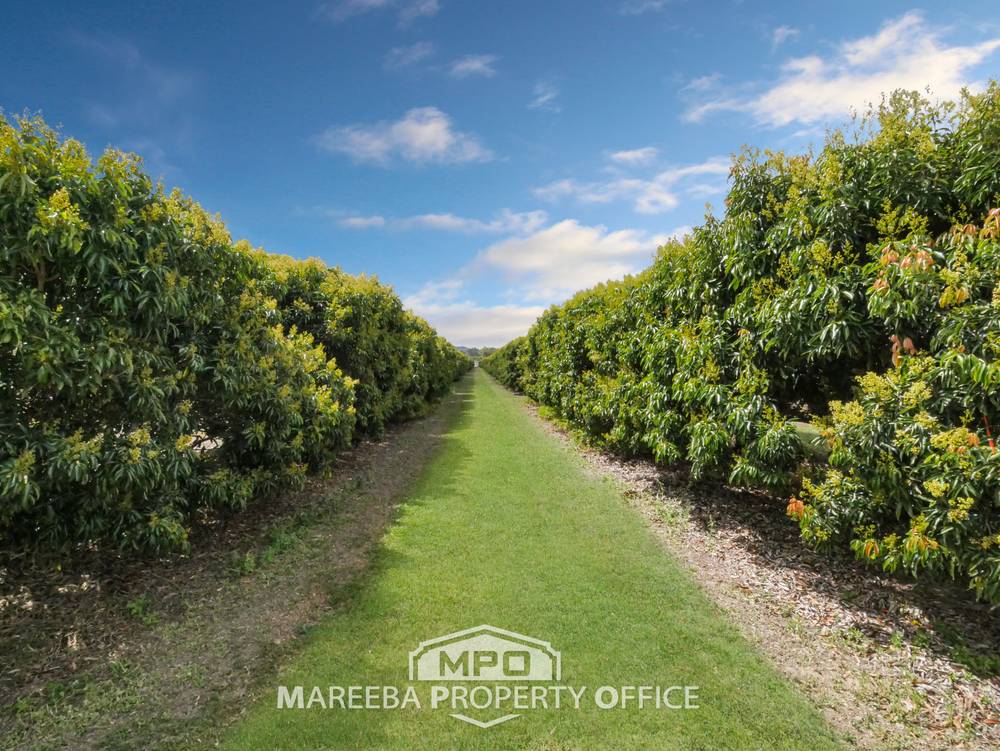 209 Malone Road, MAREEBA, QLD 4880