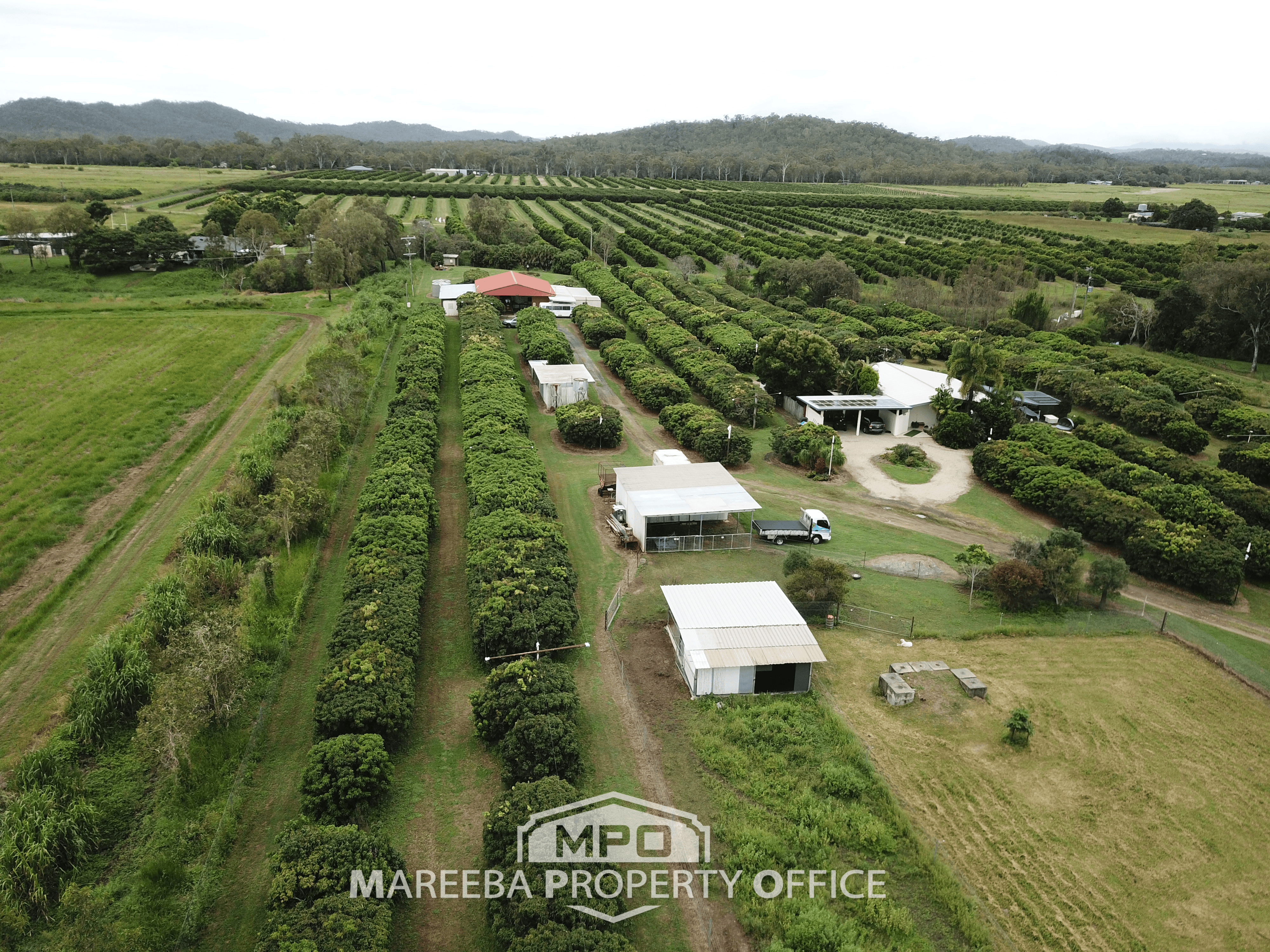 209 Malone Road, MAREEBA, QLD 4880