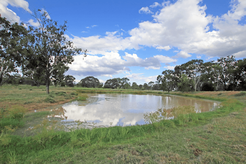 782 Floods Road, DULULU, QLD 4702