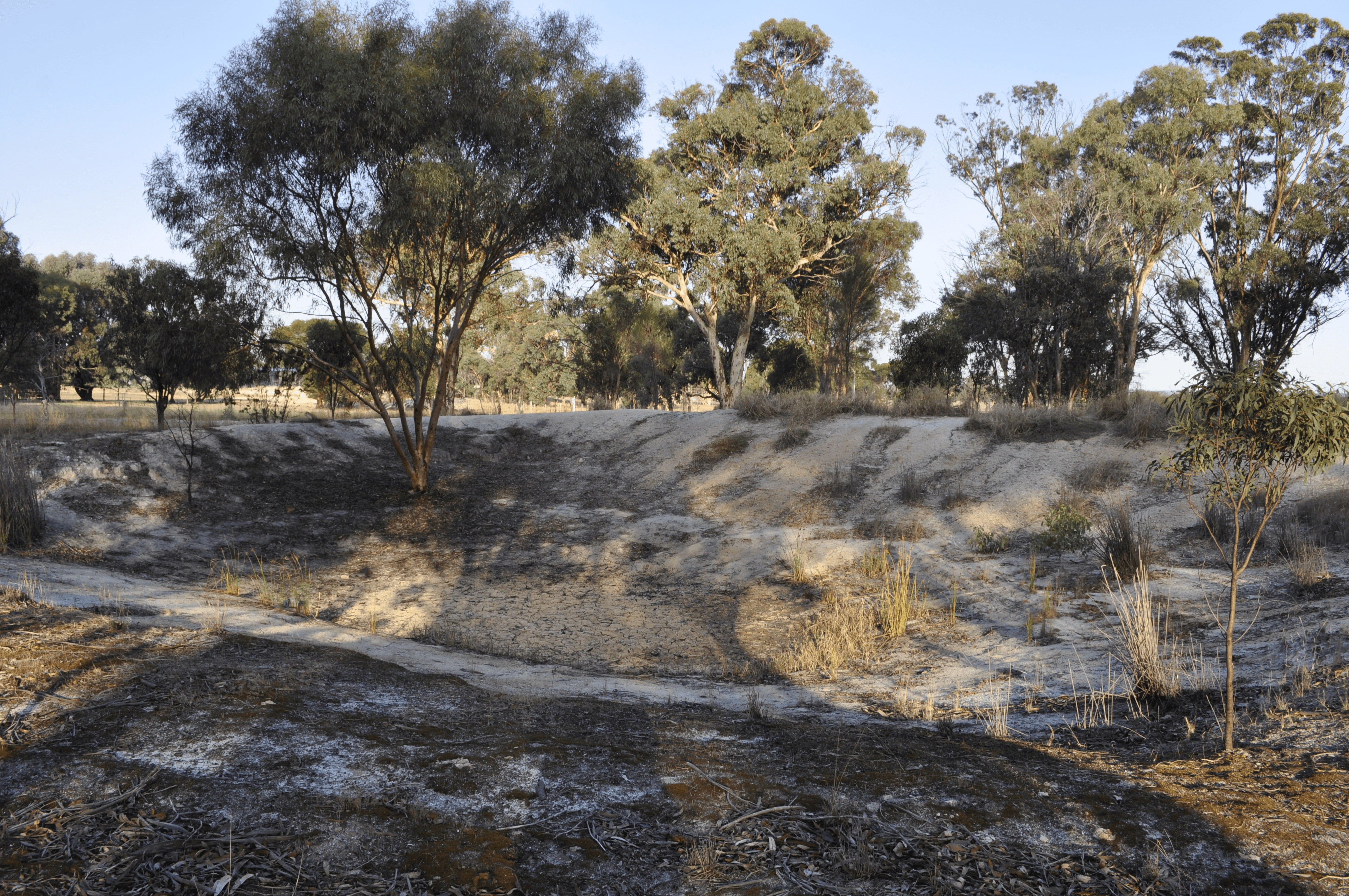 633 Mills Street, KATANNING, WA 6317