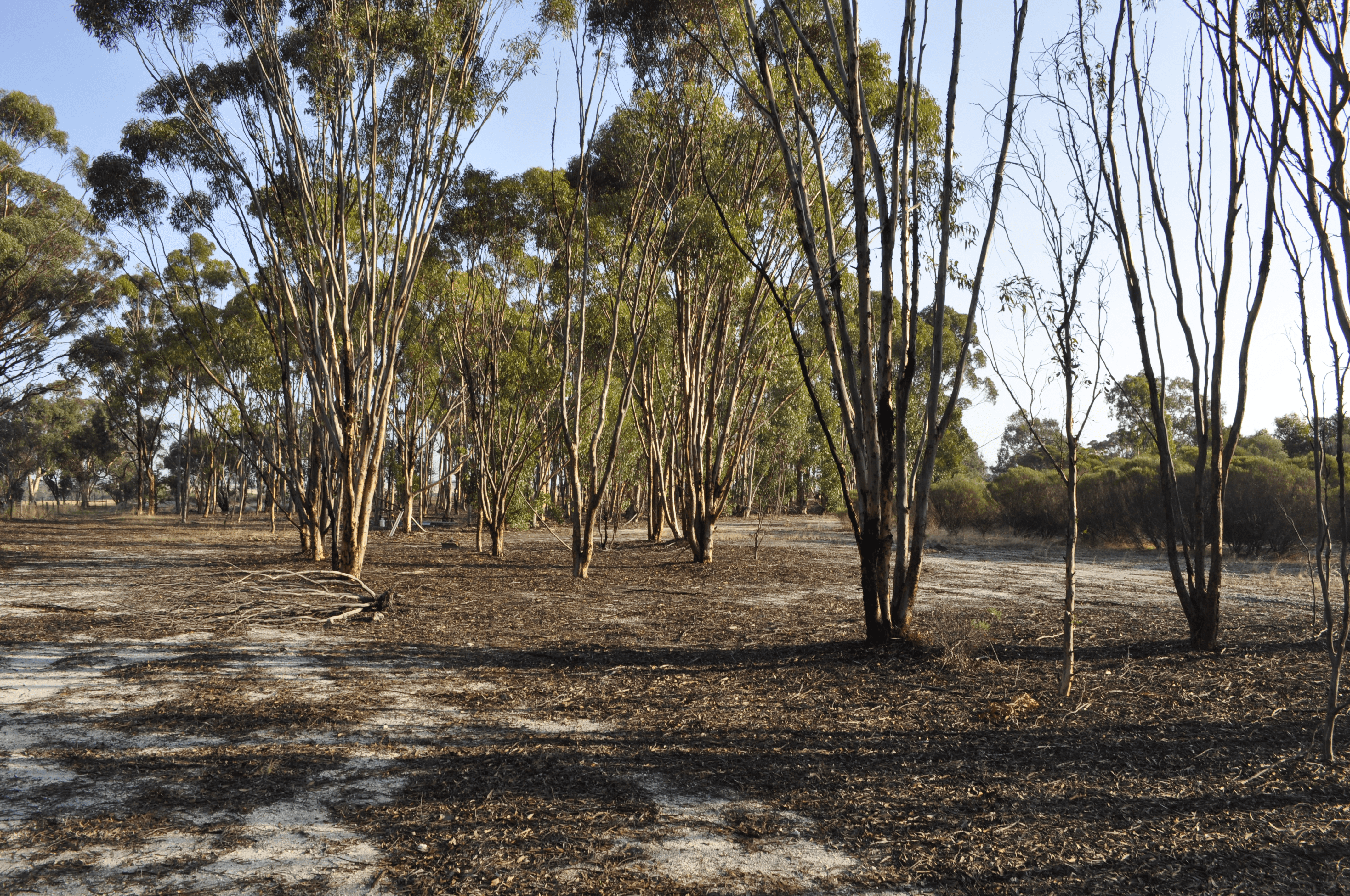 633 Mills Street, KATANNING, WA 6317