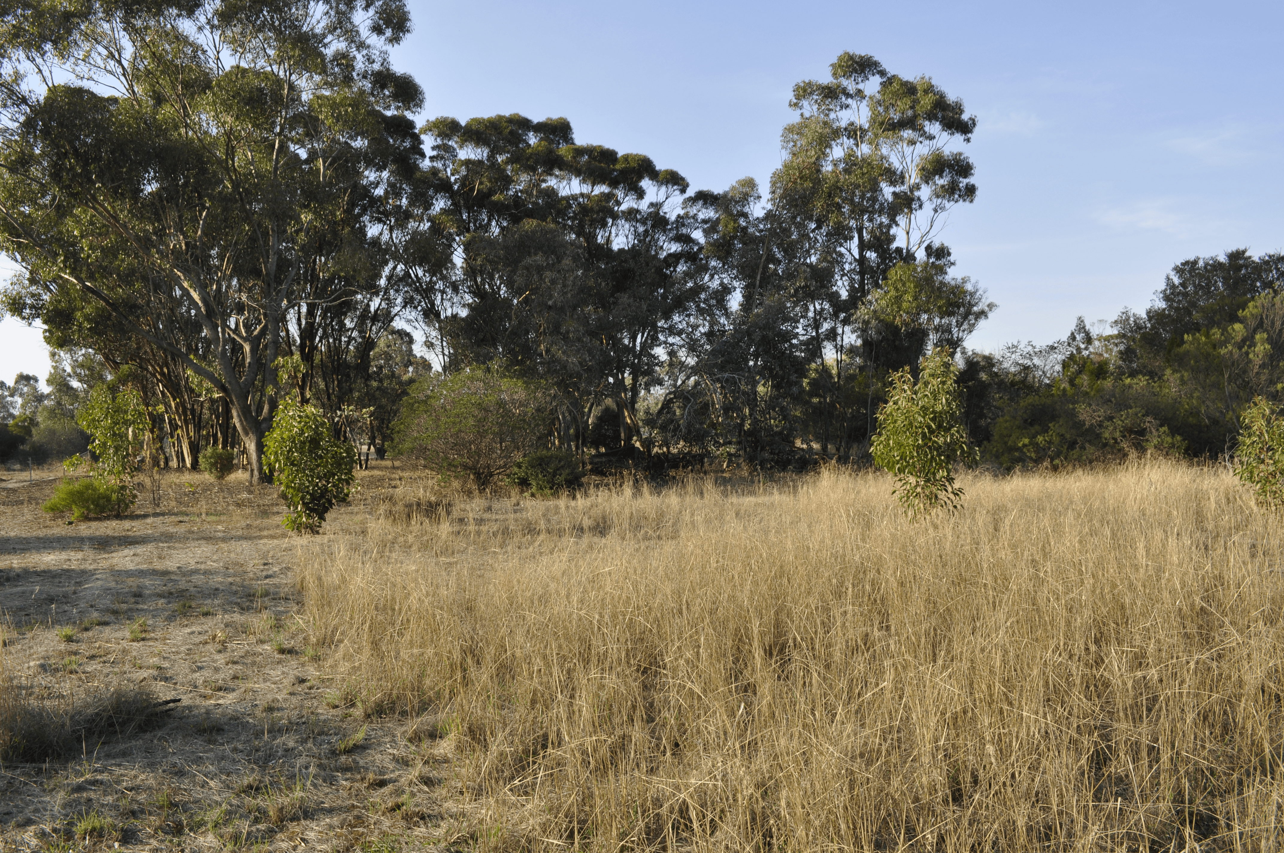 633 Mills Street, KATANNING, WA 6317
