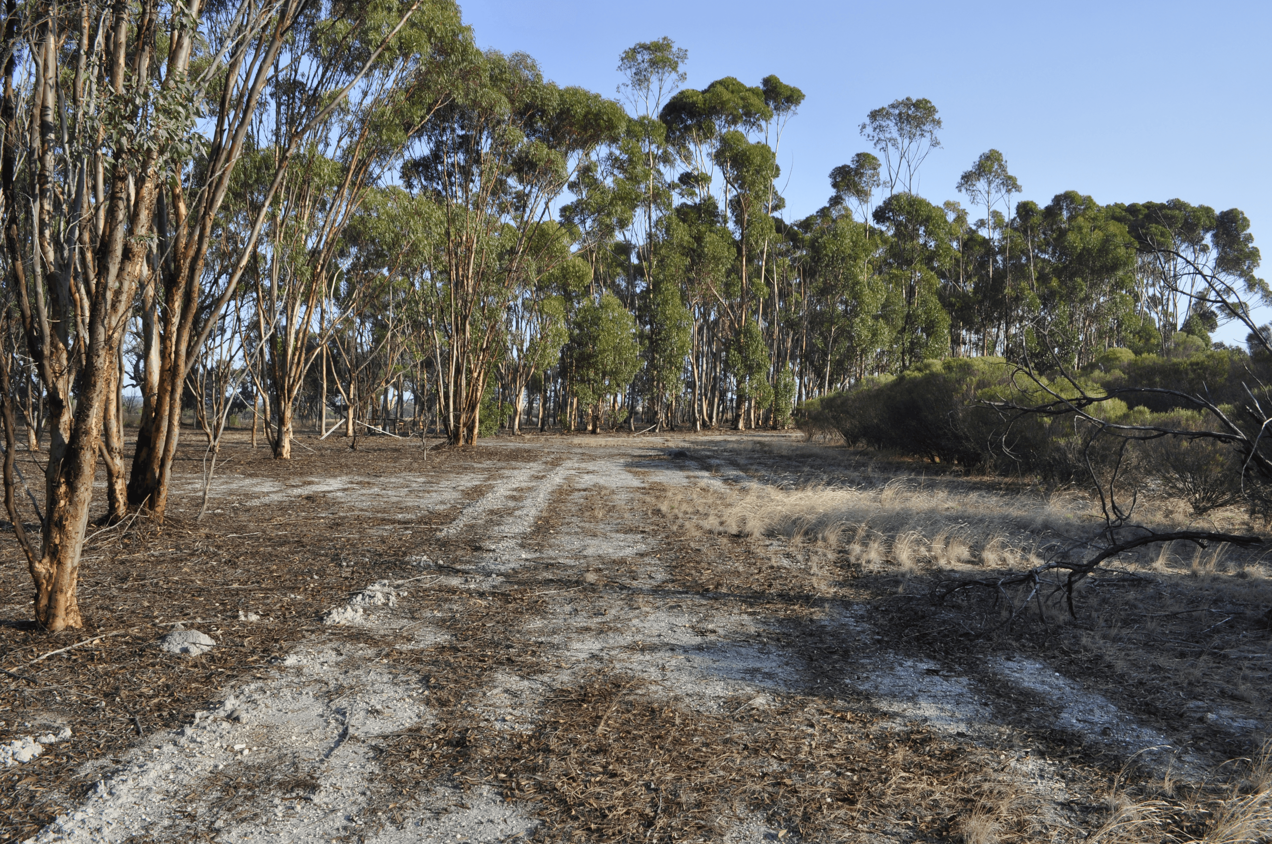 633 Mills Street, KATANNING, WA 6317