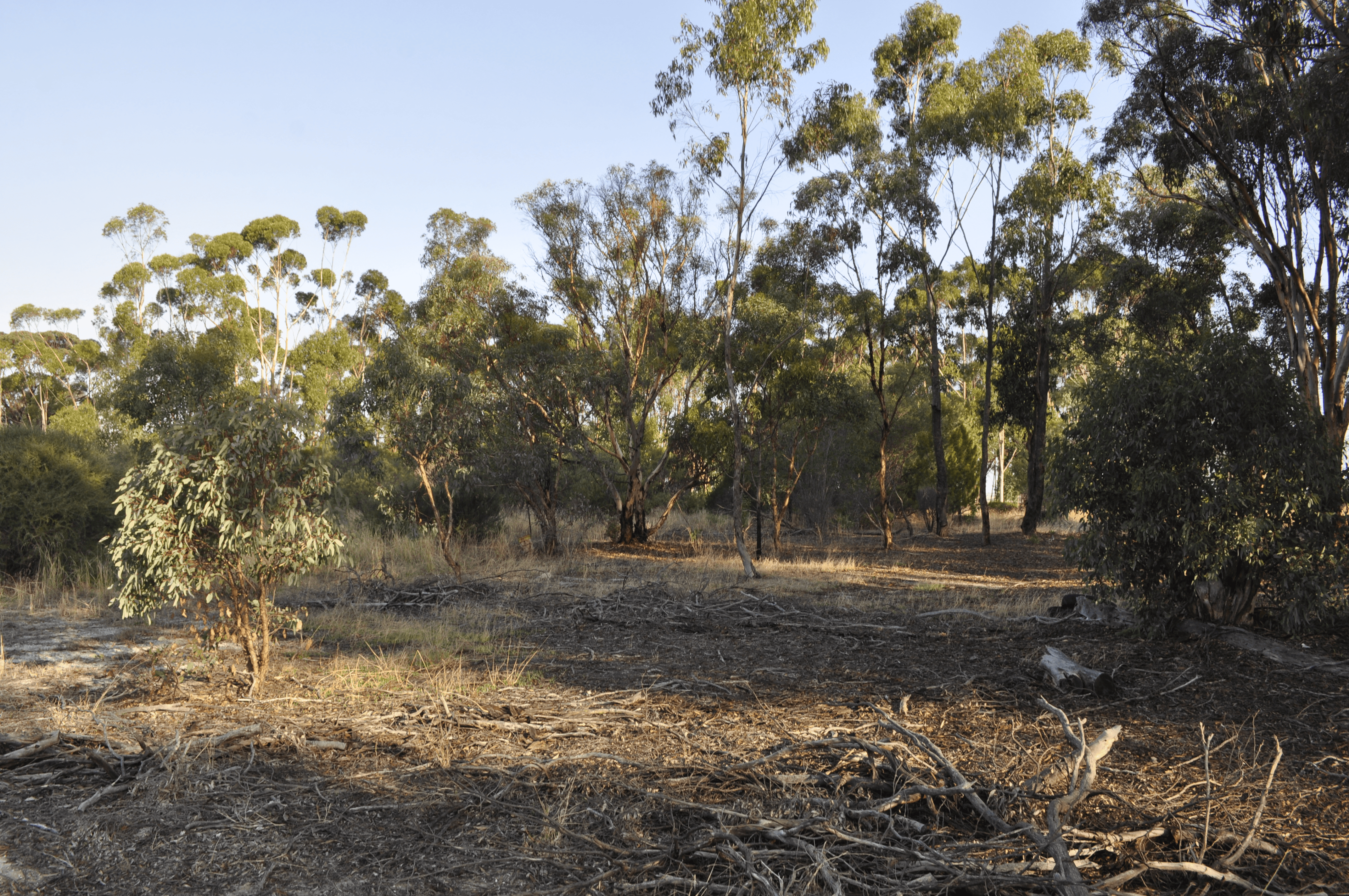 633 Mills Street, KATANNING, WA 6317