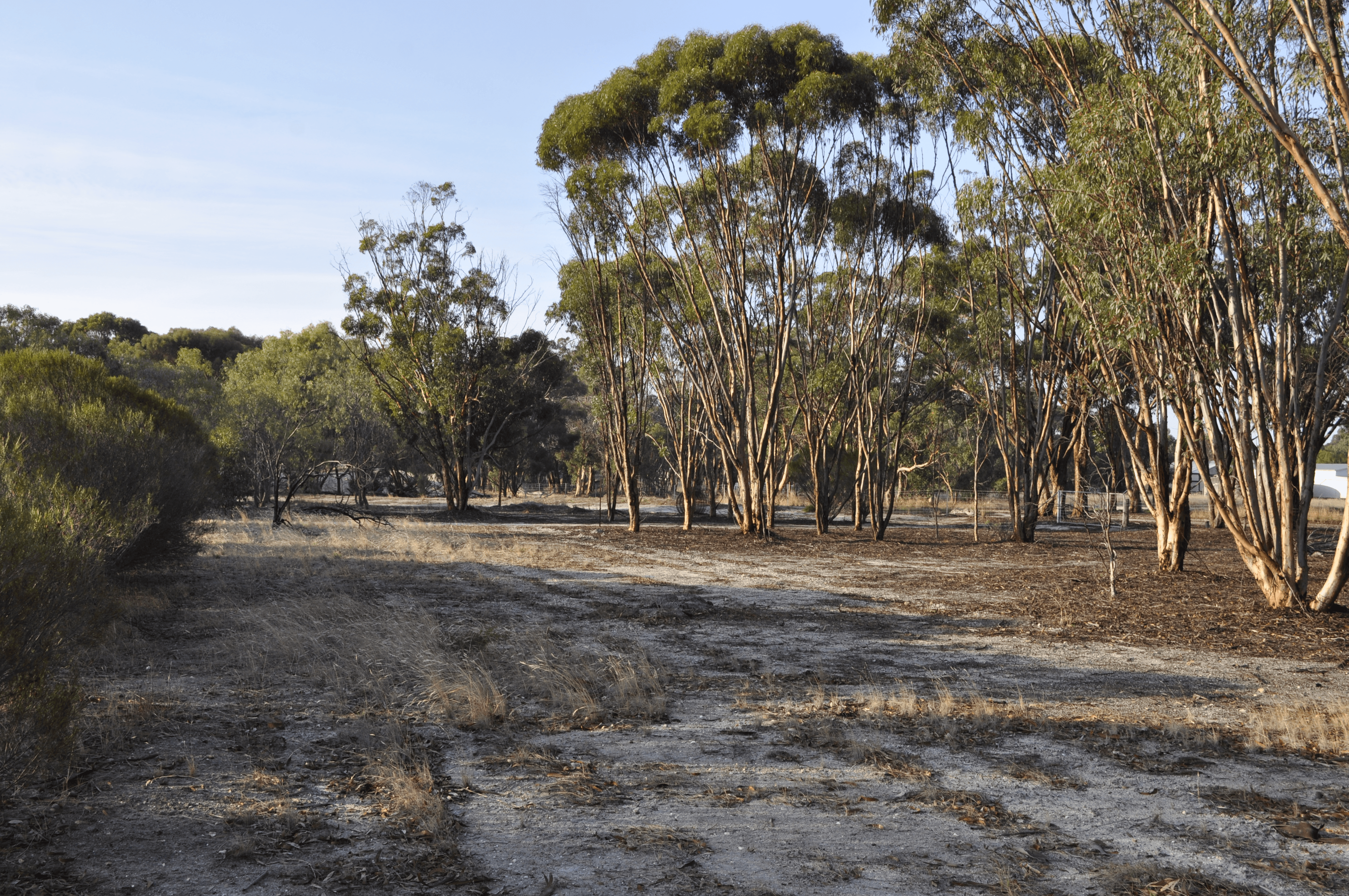 633 Mills Street, KATANNING, WA 6317
