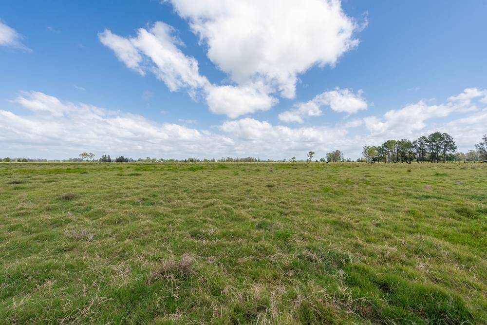 578 Lower Coldstream Road, Coldstream, NSW 2462