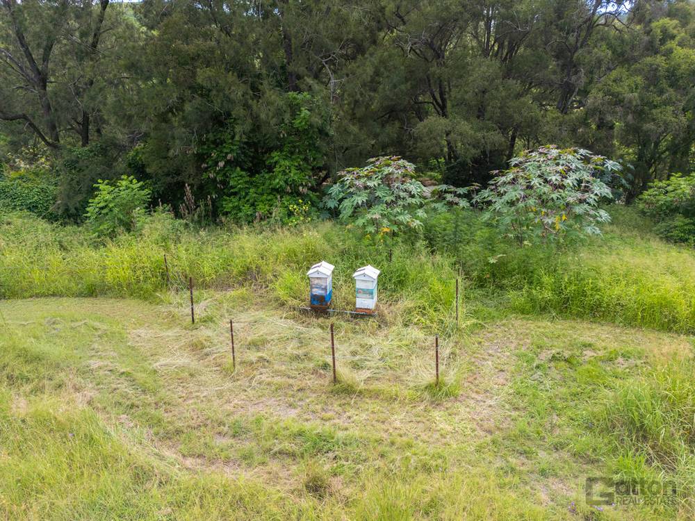 691 Lefthand Branch Road, Lefthand Branch, QLD 4343