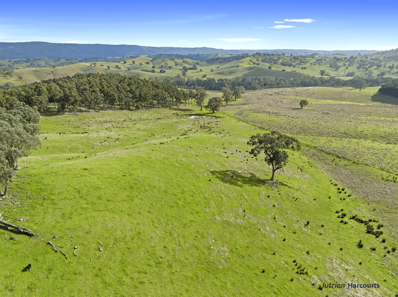 7212 Maroondah Highway, YARCK, VIC 3719