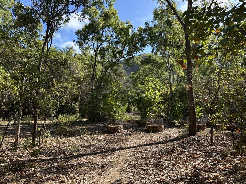 28 Pollard St, Horseshoe Bay, QLD 4819