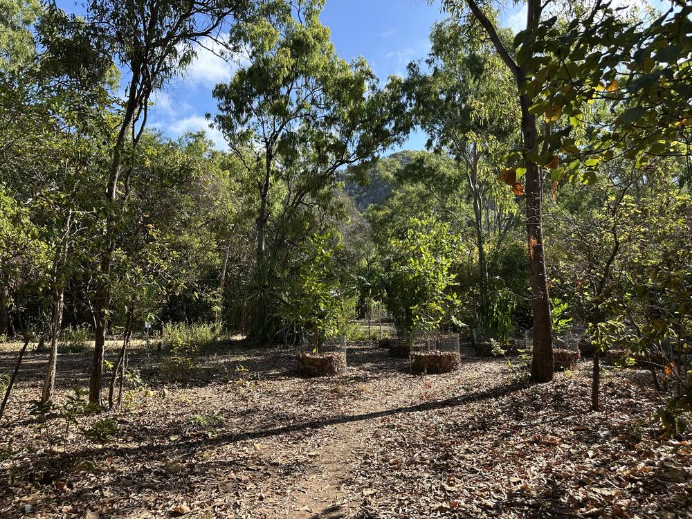 28 Pollard St, Horseshoe Bay, QLD 4819