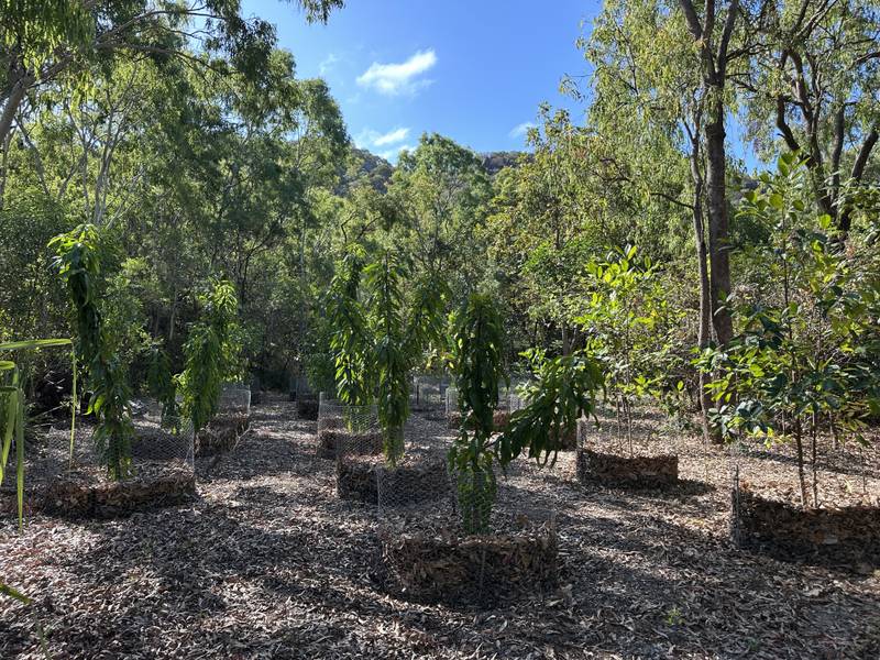 28 Pollard St, Horseshoe Bay, QLD 4819