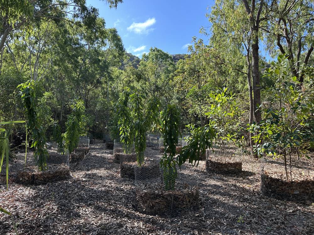 28 Pollard St, Horseshoe Bay, QLD 4819