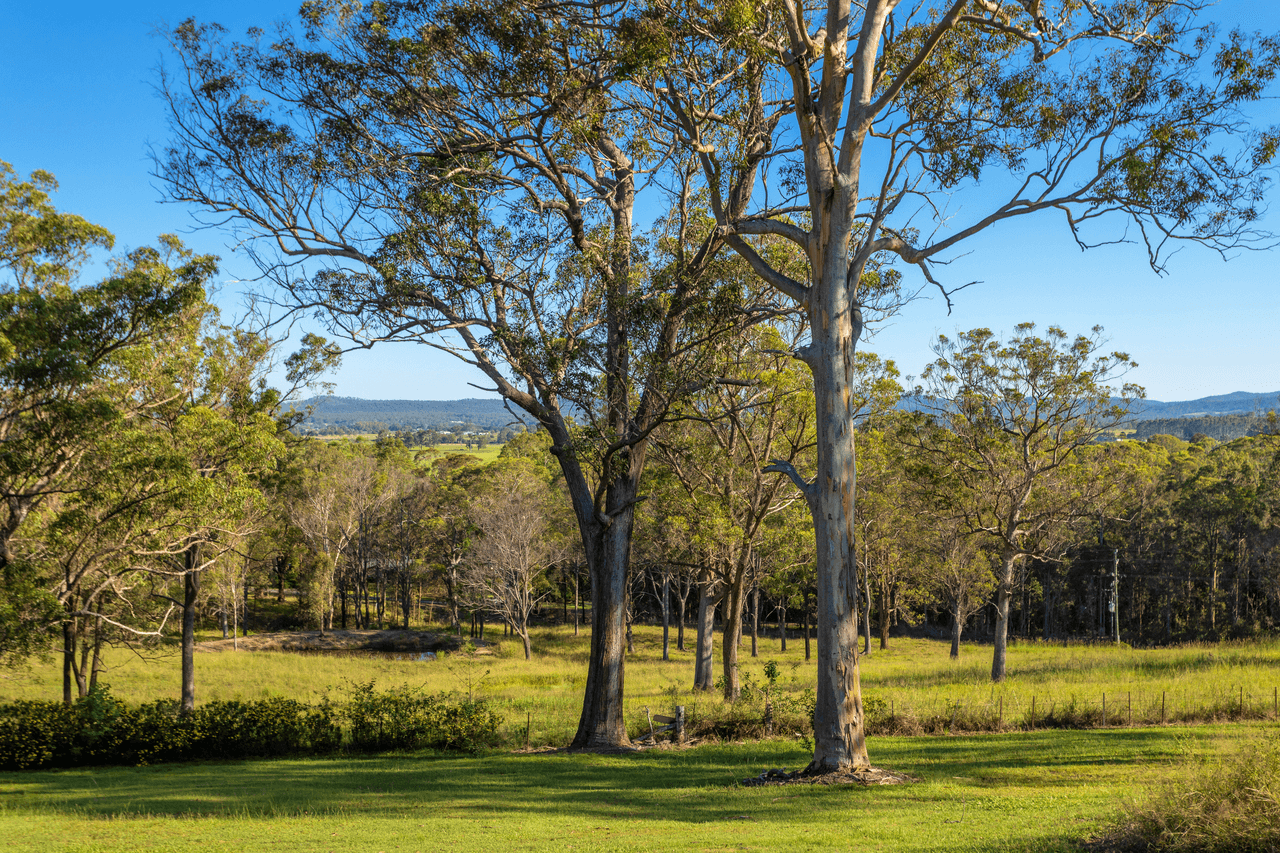 27 Potoroo Drive, TAREE, NSW 2430