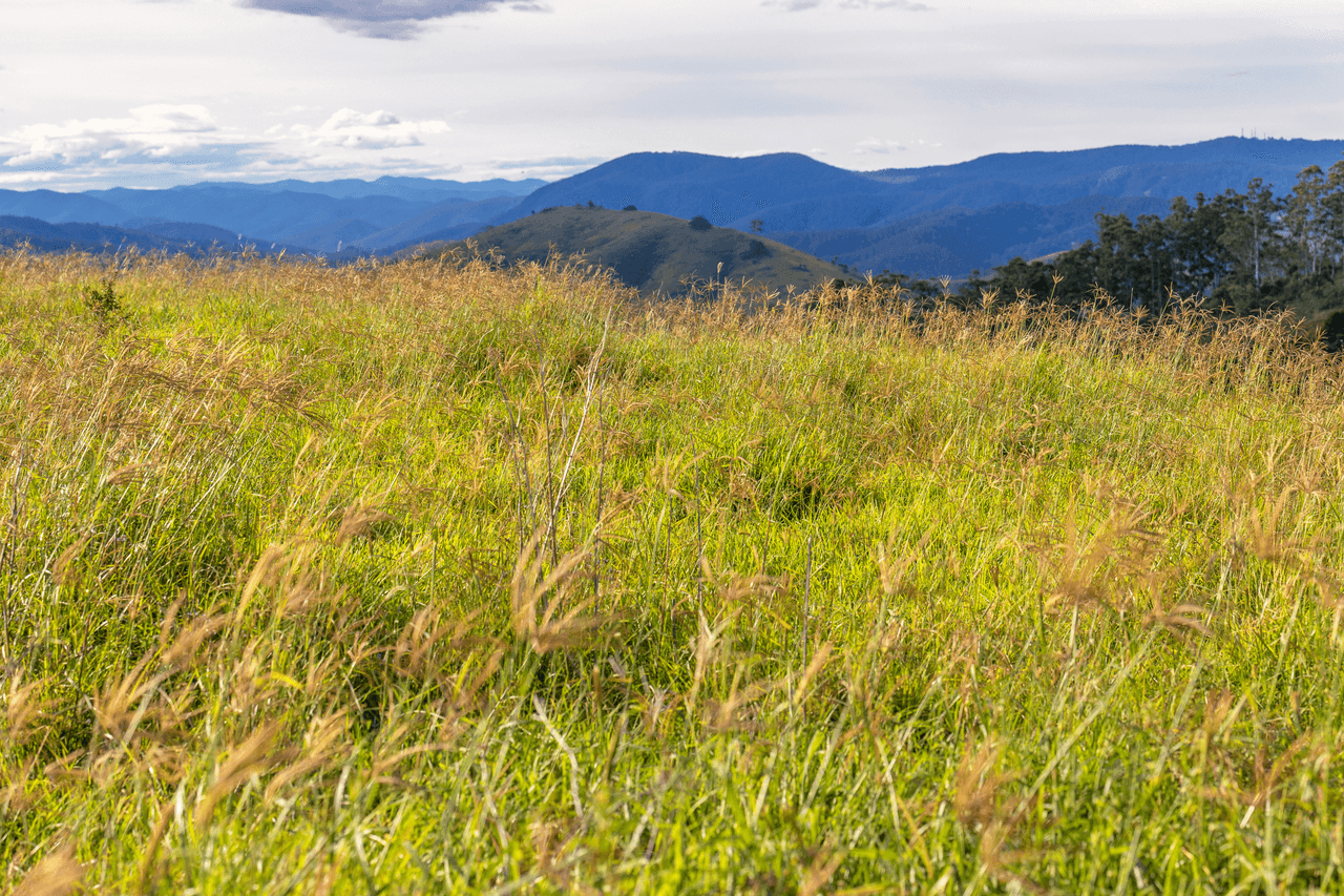 200 Days Road, TIPPERARY, NSW 2429