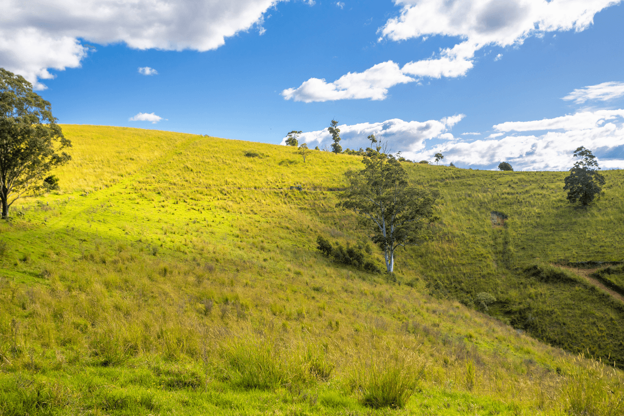 200 Days Road, TIPPERARY, NSW 2429