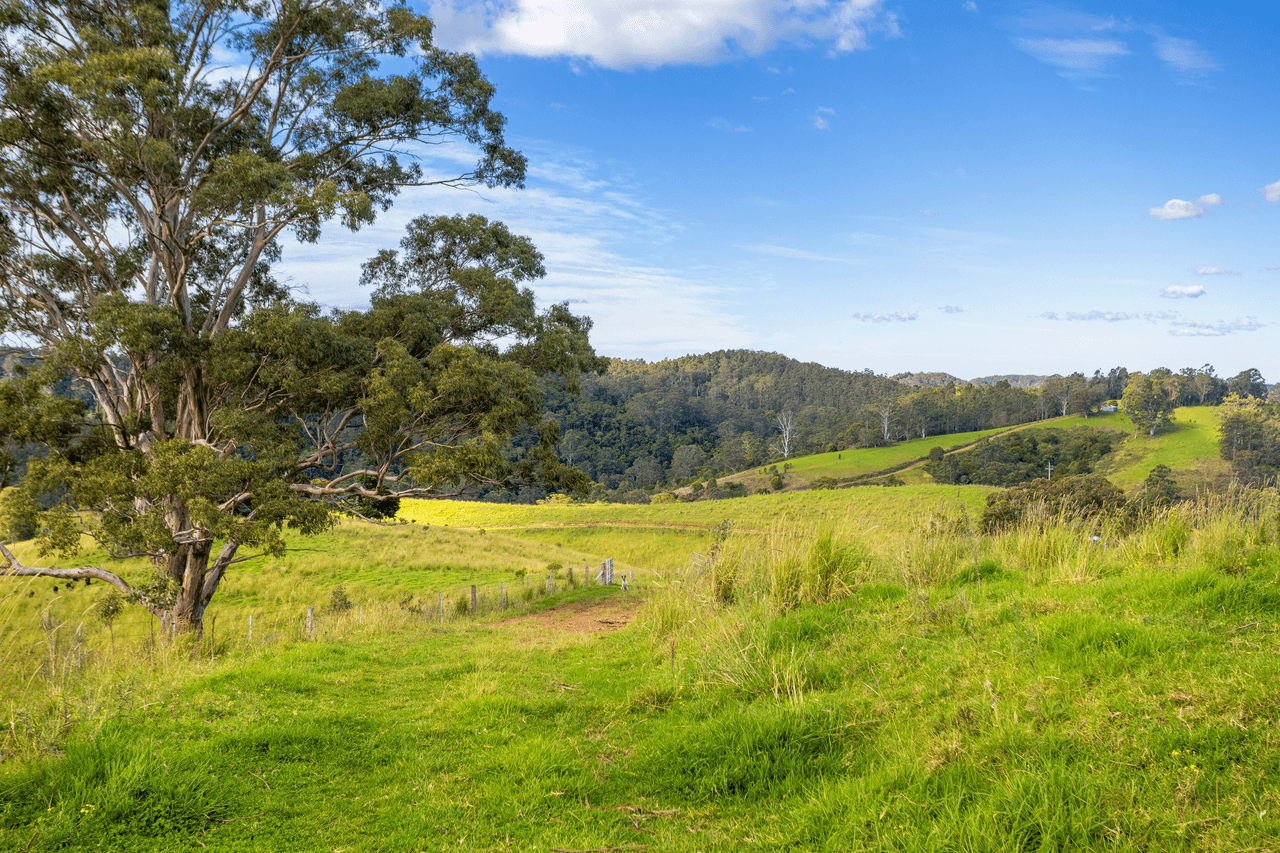 200 Days Road, TIPPERARY, NSW 2429