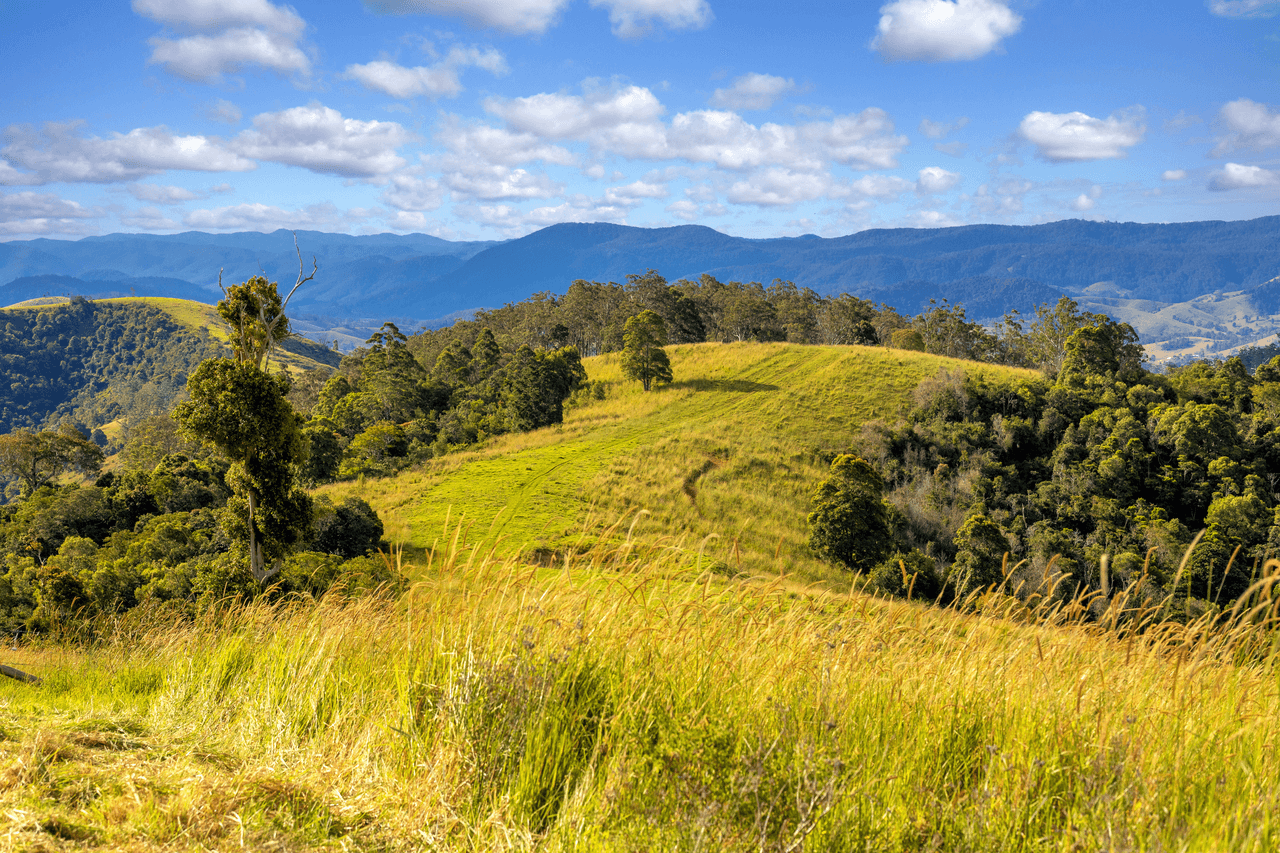 200 Days Road, TIPPERARY, NSW 2429