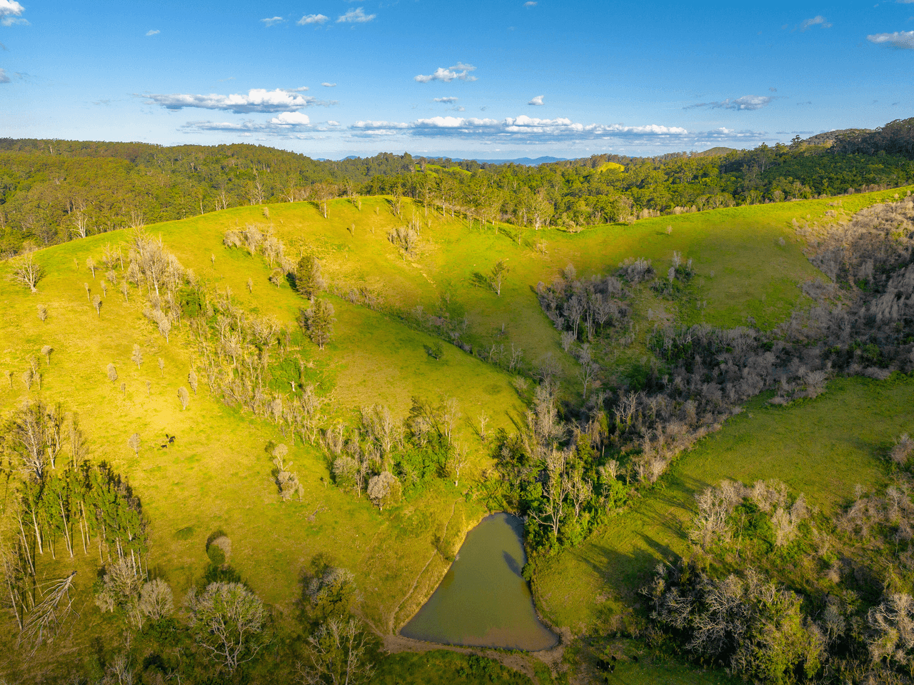 200 Days Road, TIPPERARY, NSW 2429